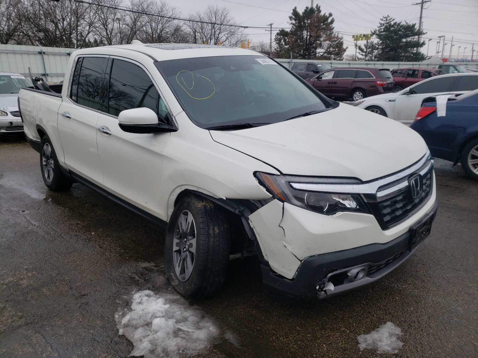 honda ridgeline 2019 5fpyk3f70kb026127