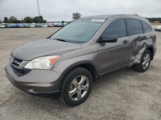 honda cr-v lx 2010 5j6re3h37al047464