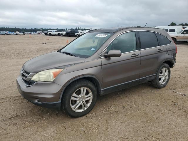 honda cr-v exl 2010 5j6re3h70al028435