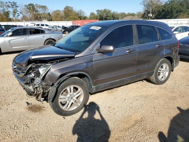 honda cr-v exl 2010 5j6re3h74al016417