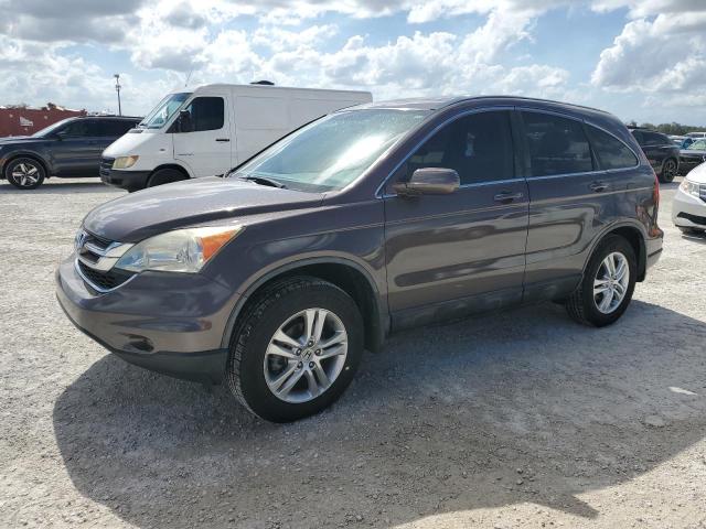 honda cr-v exl 2010 5j6re3h74al039227