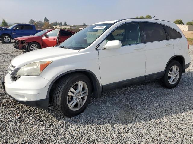 honda cr-v exl 2011 5j6re3h74bl042081