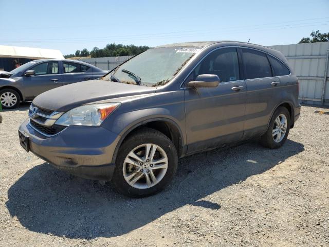 honda cr-v exl 2010 5j6re3h77al019179