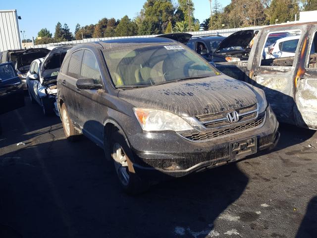 honda cr-v exl 2010 5j6re3h78al037044