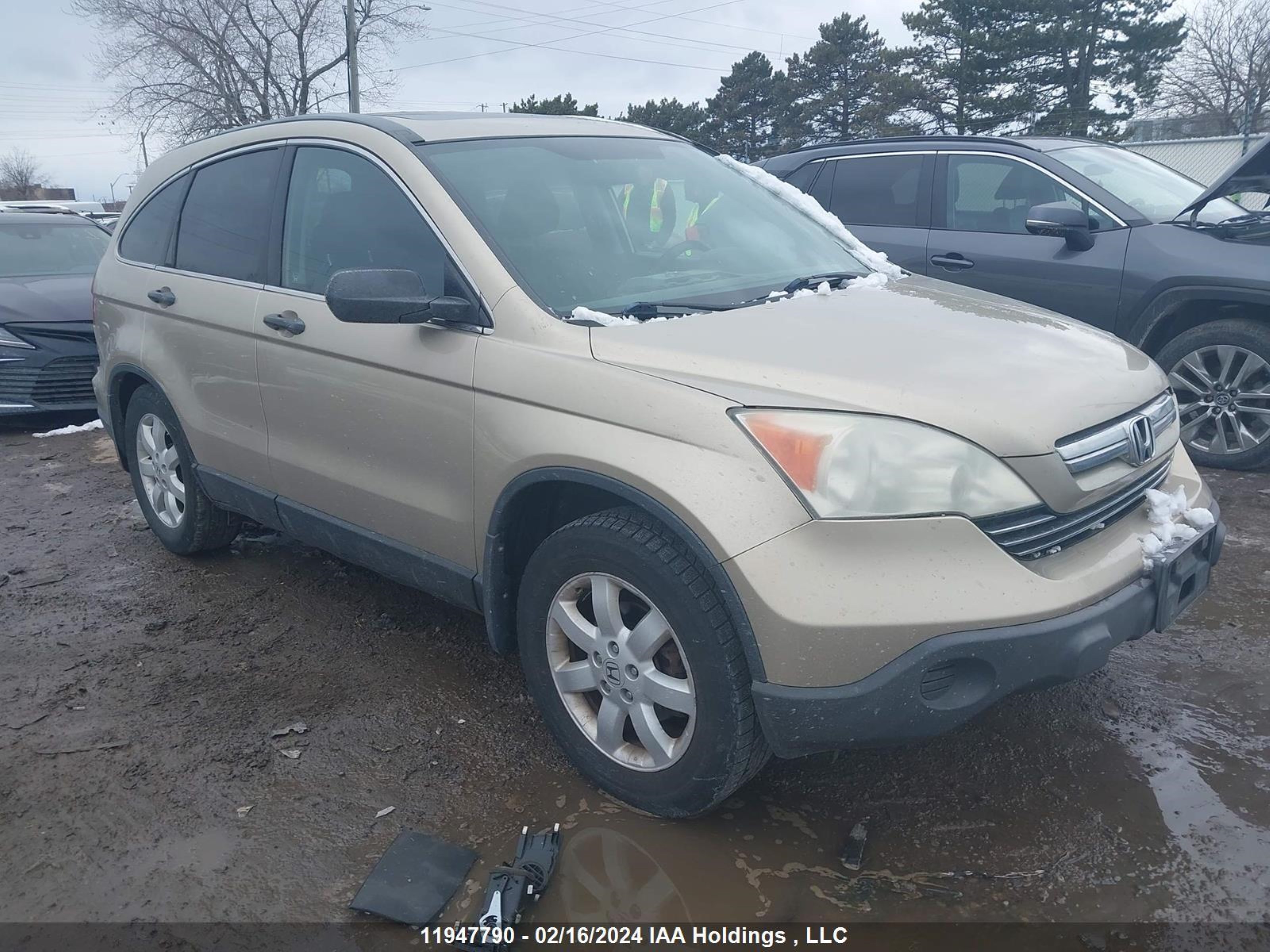 honda cr-v 2007 5j6re48547l811917