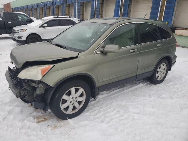 honda cr-v exl 2009 5j6re48719l019387