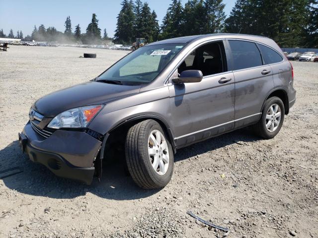 honda cr-v exl 2009 5j6re48739l047885