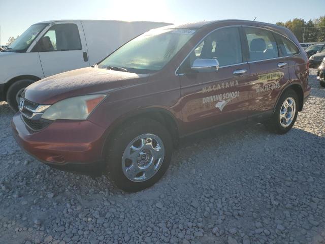 honda cr-v lx 2010 5j6re4h38al004290