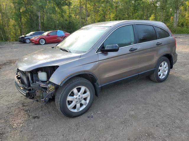 honda cr-v lx 2011 5j6re4h39bl808230