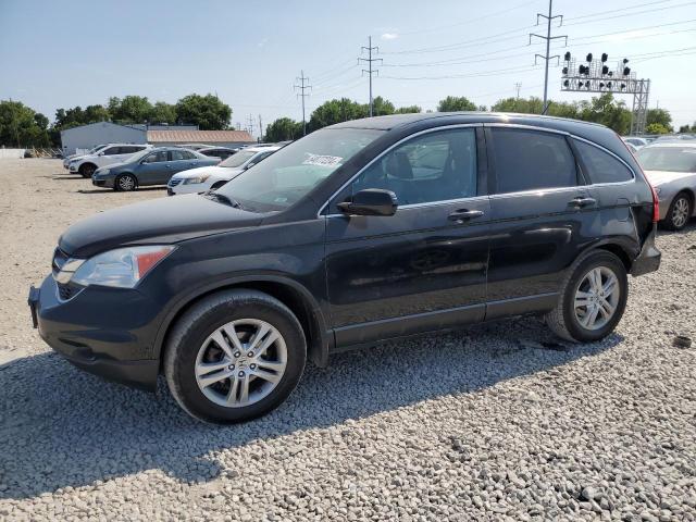 honda cr-v exl 2010 5j6re4h71al036663