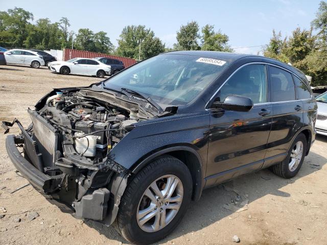 honda cr-v exl 2010 5j6re4h71al039160