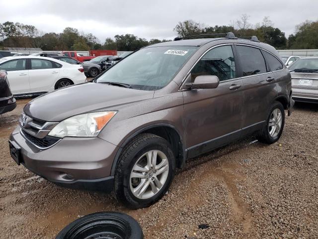 honda cr-v exl 2011 5j6re4h72bl073402