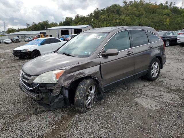 honda cr-v exl 2010 5j6re4h73al071401