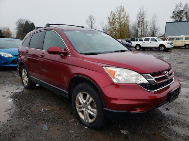 honda cr-v exl 2010 5j6re4h74al015967