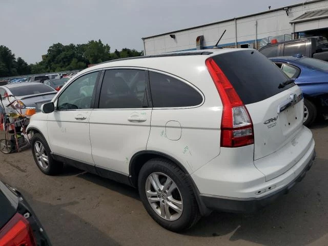 honda cr-v exl 2010 5j6re4h74al058558