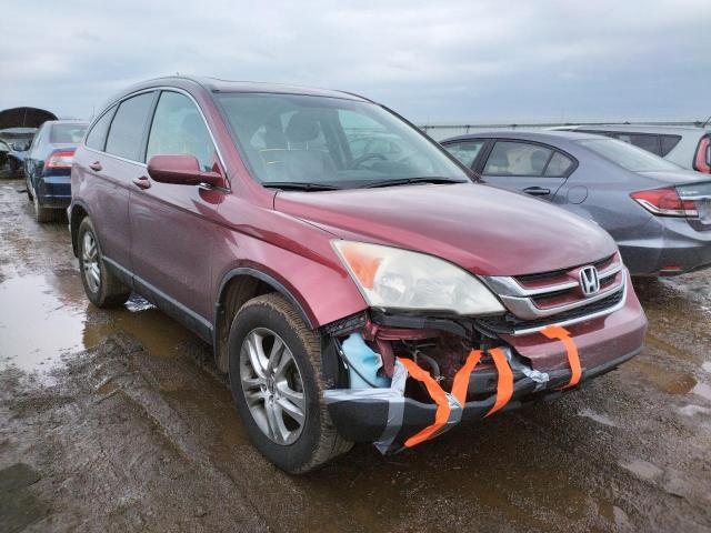 honda cr-v exl 2010 5j6re4h76al029157