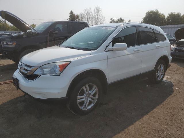 honda cr-v exl 2010 5j6re4h76al809627