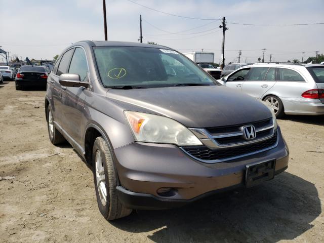 honda cr-v exl 2010 5j6re4h77al072809