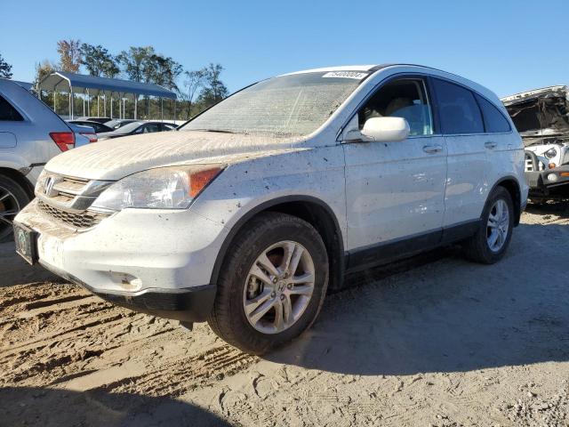 honda cr-v exl 2010 5j6re4h78al070471