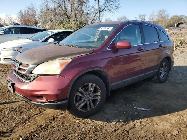 honda cr-v exl 2010 5j6re4h79al000901