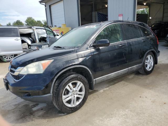 honda cr-v exl 2010 5j6re4h79al005581