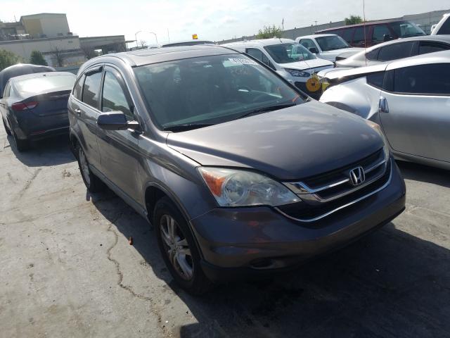 honda cr-v exl 2010 5j6re4h79al068163