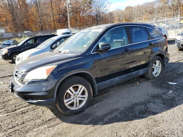 honda cr-v exl 2010 5j6re4h79al077297