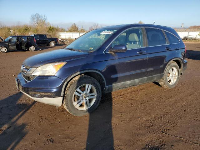 honda cr-v exl 2011 5j6re4h79bl030255