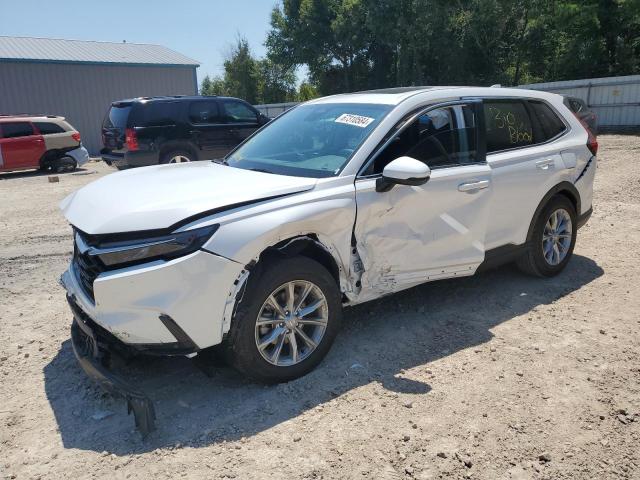 honda cr-v exl 2024 5j6rs3h74rl008113