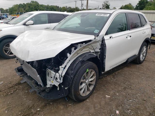 honda cr-v exl 2024 5j6rs4h74rl010708