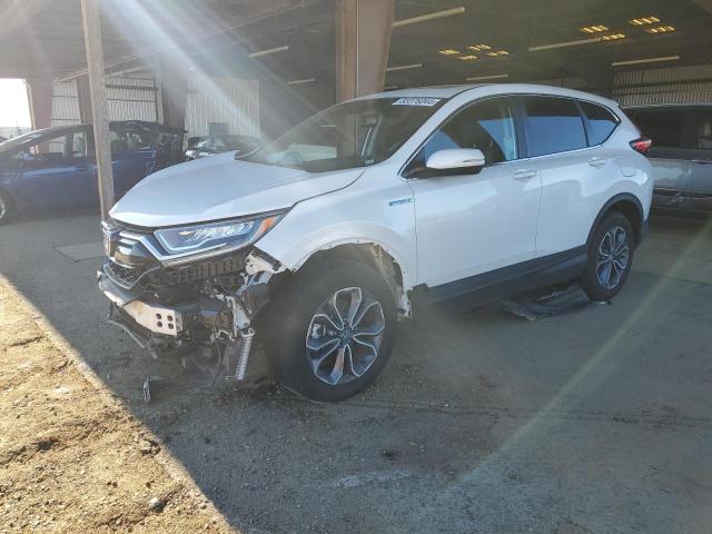 honda cr-v exl 2022 5j6rt6h88nl008830