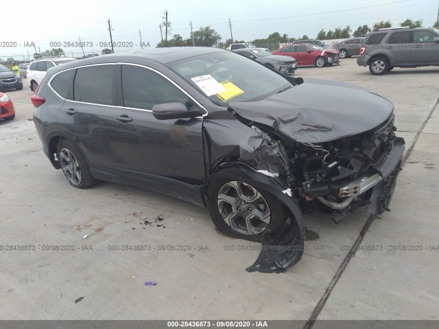 honda cr-v 2019 5j6rw1h52kl007331