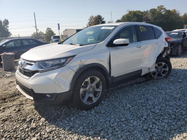 honda cr-v exl 2019 5j6rw2h84kl009470