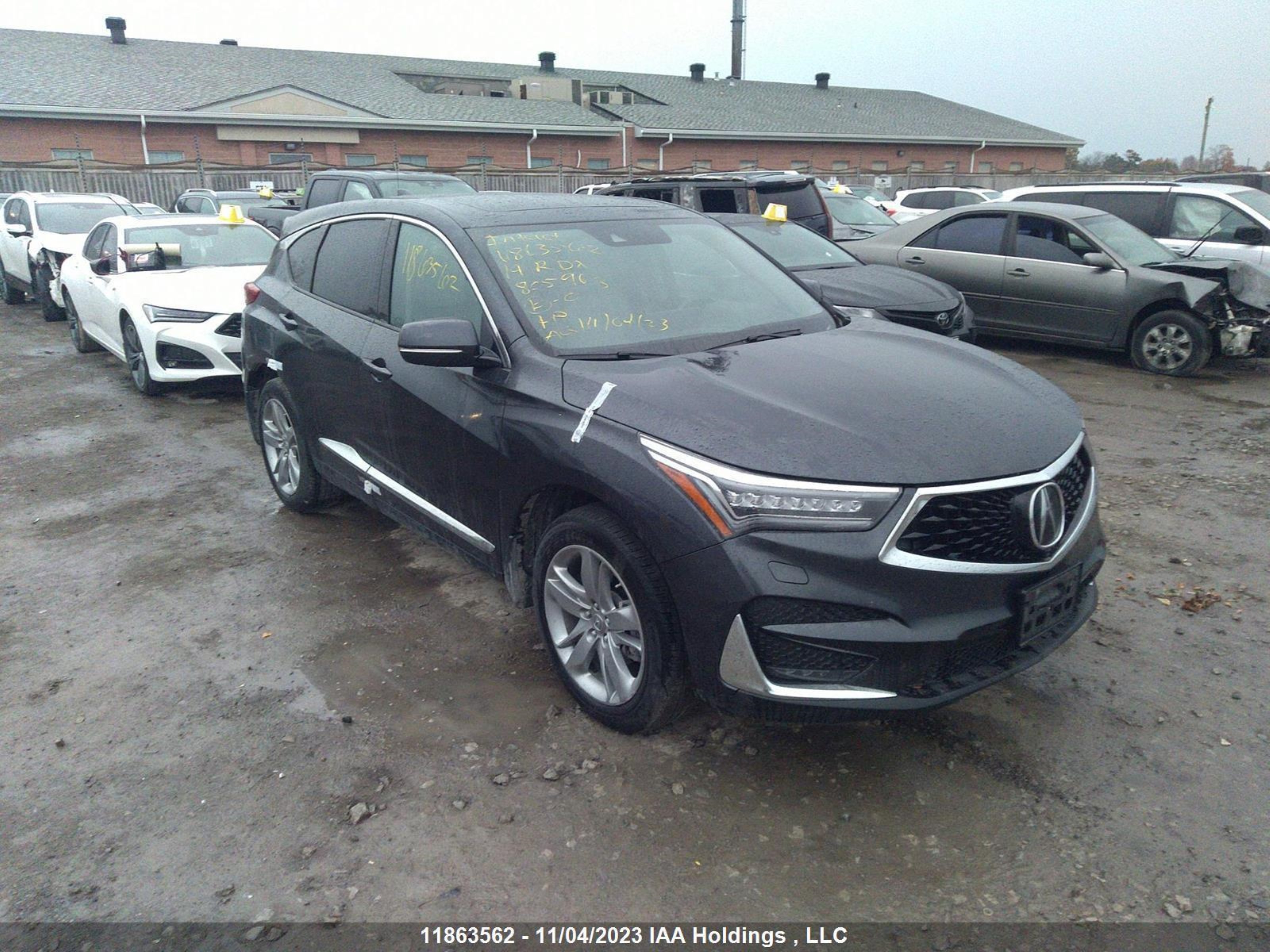 acura rdx 2019 5j8tc2h9xkl805963