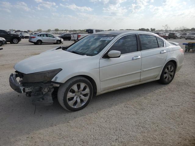 honda accord exl 2009 5kbcp36869b002701