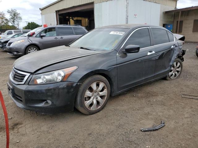 honda accord 2009 5kbcp368x9b502019