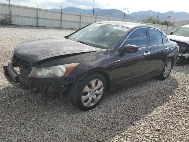 honda accord ex 2010 5kbcp3f7xab014152