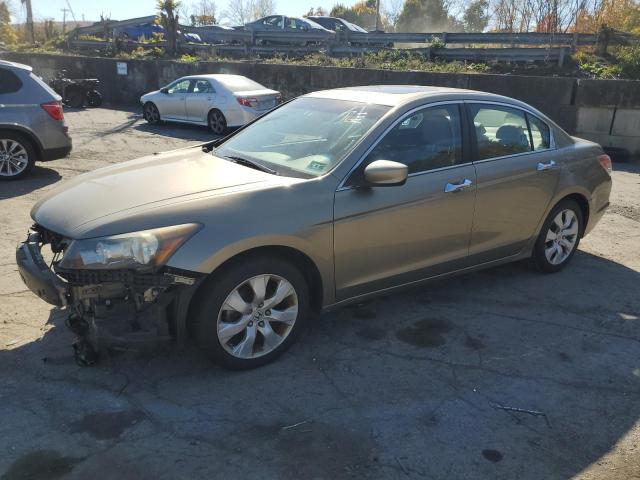 honda accord exl 2010 5kbcp3f80ab006053