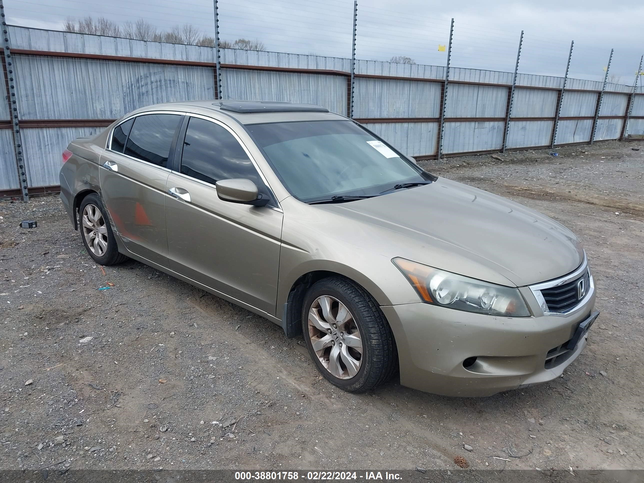 honda accord 2010 5kbcp3f80ab008742