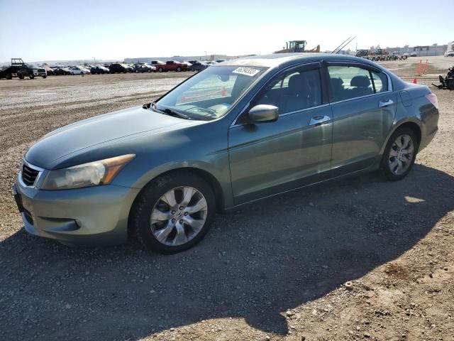 honda accord exl 2010 5kbcp3f81ab003341