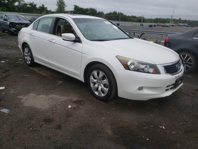 honda accord exl 2010 5kbcp3f82ab012100