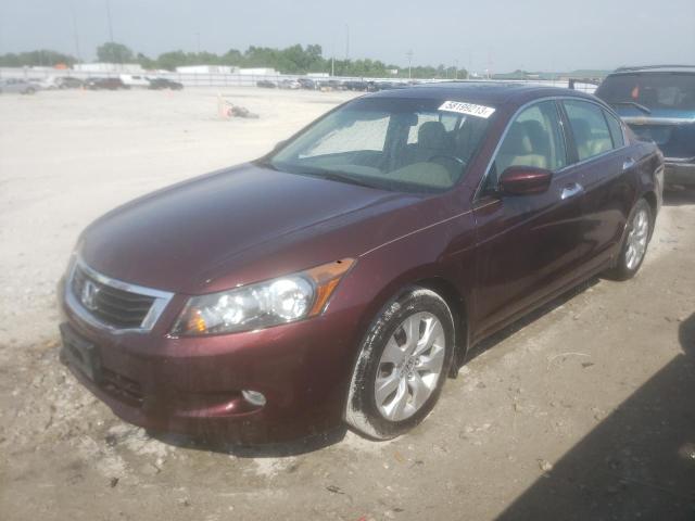 honda accord exl 2010 5kbcp3f82ab018091