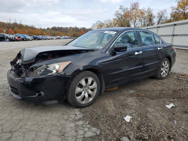 honda accord exl 2010 5kbcp3f83ab002952