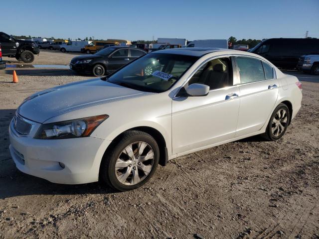 honda accord exl 2010 5kbcp3f85ab005903