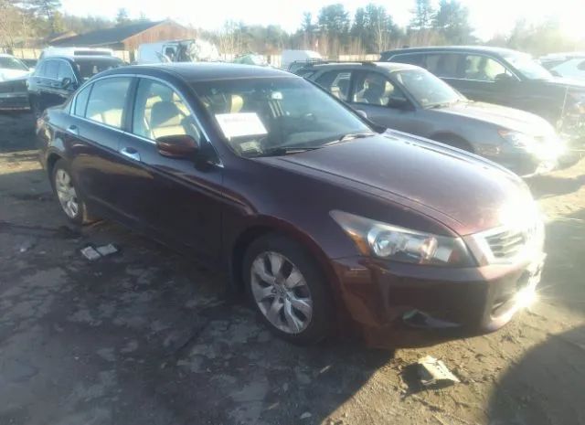 honda accord sdn 2010 5kbcp3f85ab017775