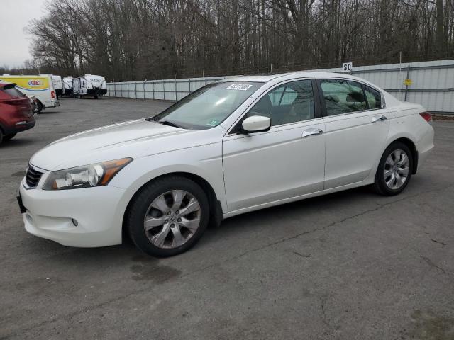 honda accord exl 2010 5kbcp3f86ab002752