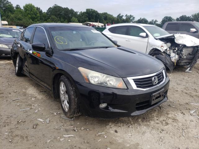 honda accord exl 2010 5kbcp3f86ab010088