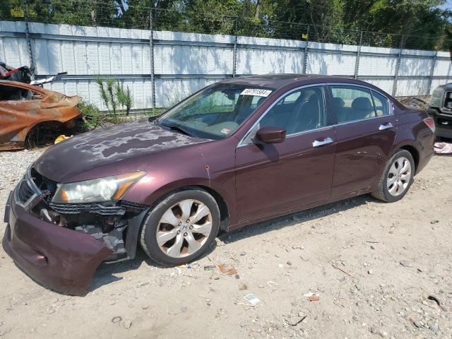 honda accord exl 2010 5kbcp3f87ab013288