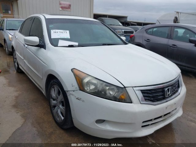 honda accord sdn 2010 5kbcp3f87ab015574