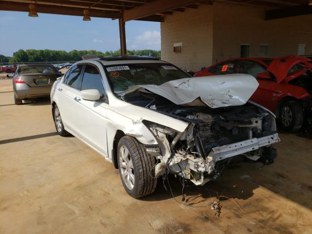 honda accord exl 2010 5kbcp3f87ab016885